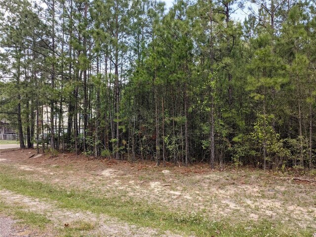 000 Tony Ln, Huntsville, TX 77320 - photo 4