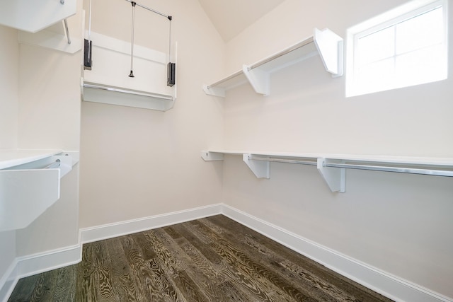 8682 Green Kolbe Ln, Houston, TX 77080 - spacious closet with dark wood finished floors