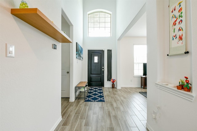 4437 Jessamine Creek Trl, Rosharon, TX 77583 - entryway featuring light wood-style flooring and a high ceiling