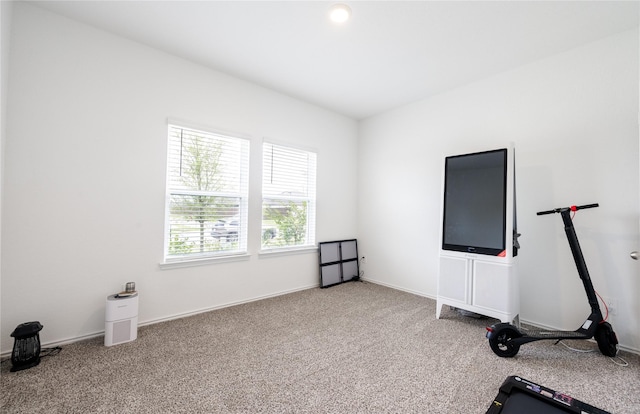 21427 Hawthorn Prairie Dr, New Caney, TX 77357 - workout room with carpet