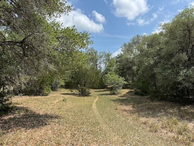 TBD County Road 122, Hallettsville, TX 77964 - photo 1