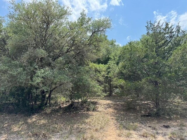 TBD County Road 122, Hallettsville, TX 77964 - photo 2