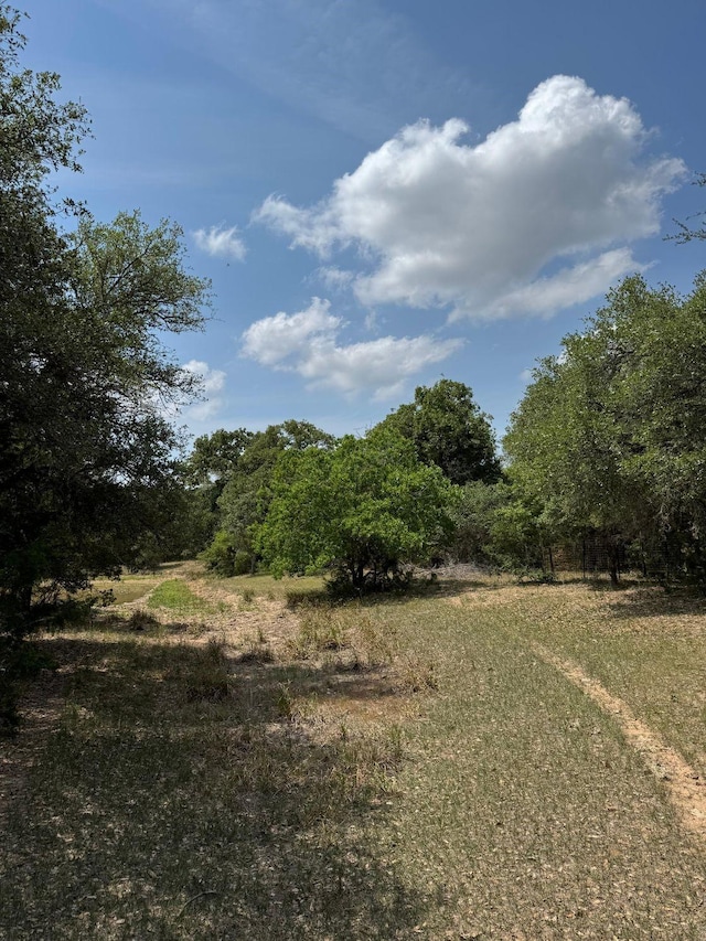 TBD County Road 122, Hallettsville, TX 77964 - photo 5