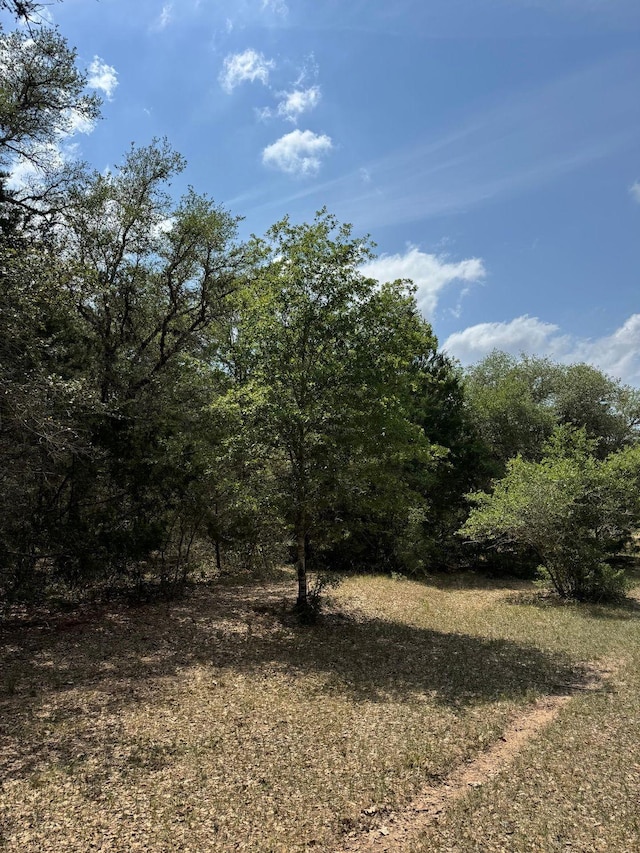 TBD County Road 122, Hallettsville, TX 77964 - photo 6