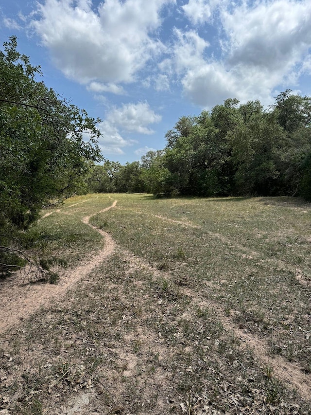 TBD County Road 122, Hallettsville, TX 77964 - photo 7