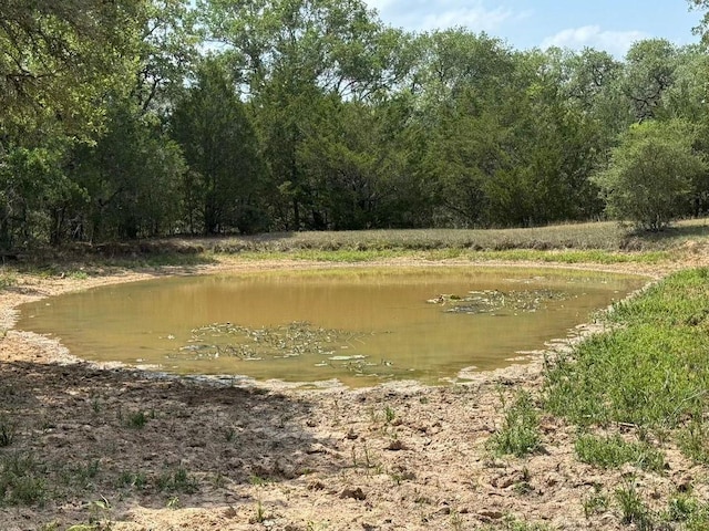 TBD County Road 122, Hallettsville, TX 77964 - photo 8