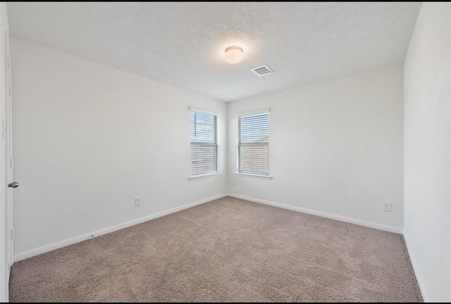 2019 Damasi Ln, Fresno, TX 77545 - unfurnished room with carpet floors and a textured ceiling