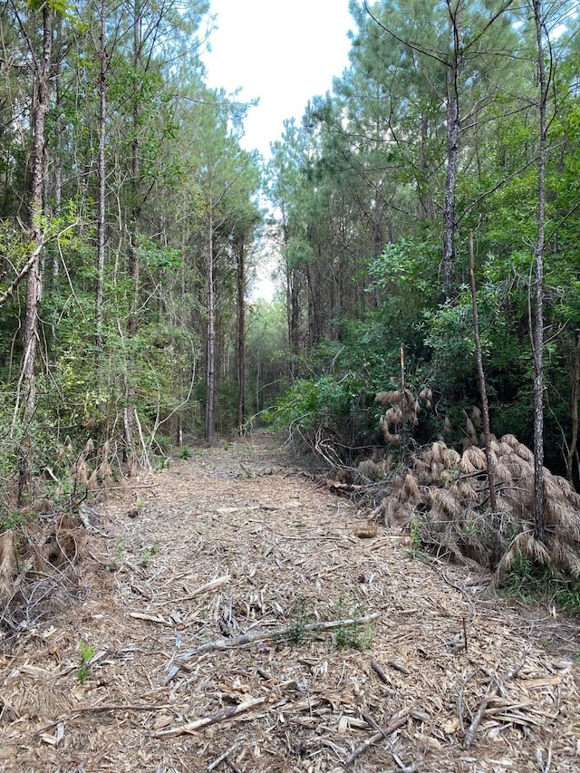 19853 Ghost Rd, Kountze, TX 77625