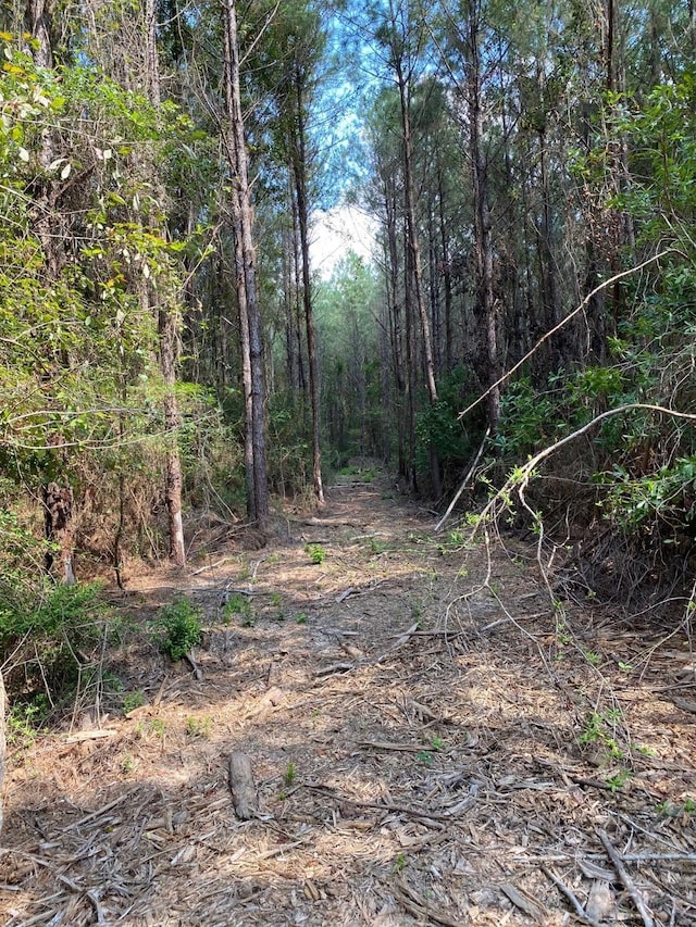 19853 Ghost Rd, Kountze, TX 77625