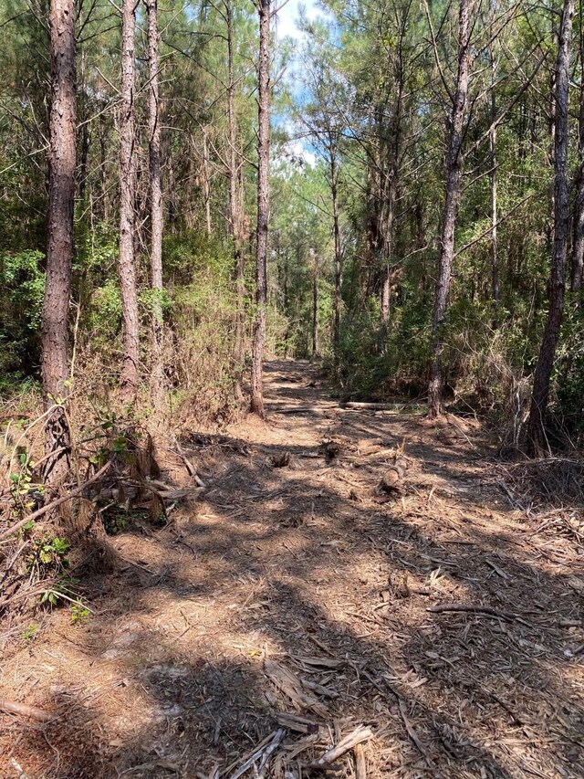 19853 Ghost Rd, Kountze, TX 77625