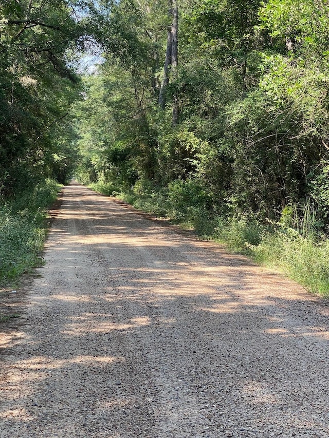 19853 Ghost Rd, Kountze, TX 77625