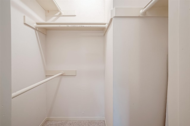 2379 Briarwest Blvd Unit 46, Houston, TX 77077 - view of walk in closet