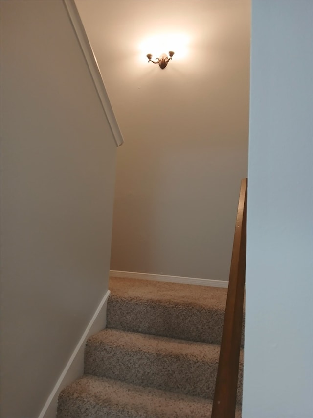 2379 Briarwest Blvd Unit 46, Houston, TX 77077 - photo 19