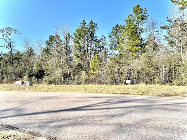 15806 Republic Ranch Rd N, Willis, TX 77378