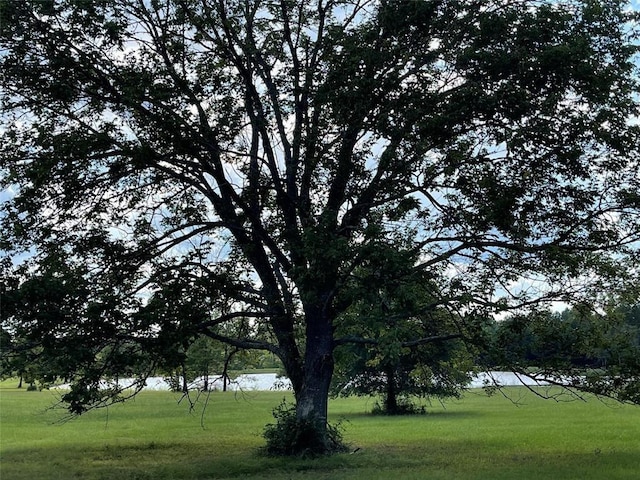 15806 Republic Ranch Rd N, Willis, TX 77378