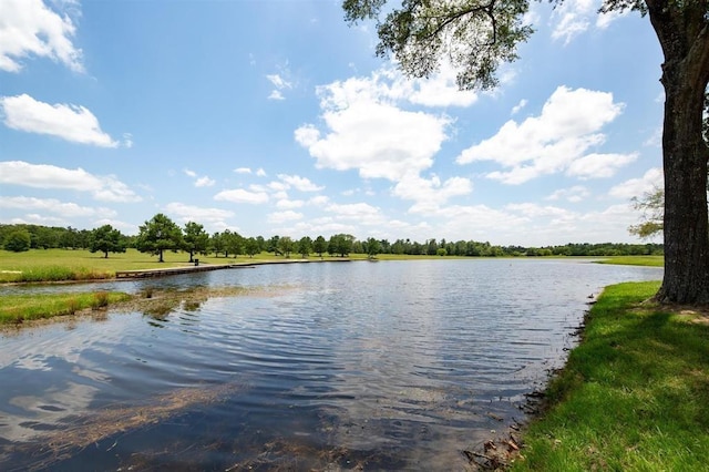 15806 Republic Ranch Rd N, Willis, TX 77378