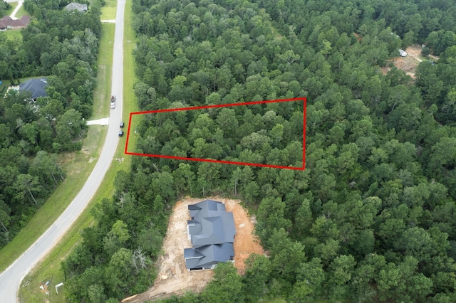 15806 Republic Ranch Rd N, Willis, TX 77378