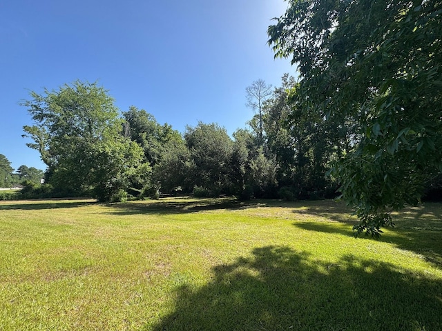 304 N Wheeler Rd, Colmesneil, TX 75938 - view of green lawn
