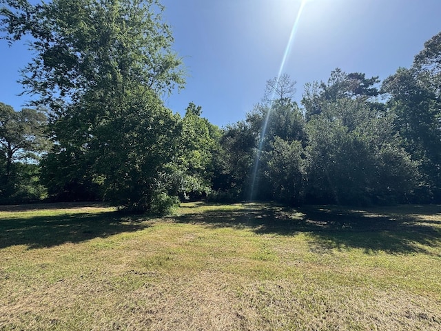 304 N Wheeler Rd, Colmesneil, TX 75938 - view of green lawn
