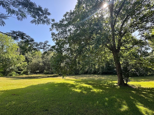 304 N Wheeler Rd, Colmesneil, TX 75938 - view of grassy yard