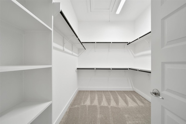 15122 Parkland Canyon Dr, Cypress, TX 77433 - walk in closet featuring carpet and attic access