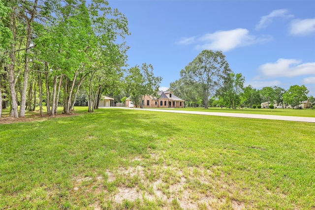 15908 Mcnorton, Splendora, TX 77372 - view of green lawn