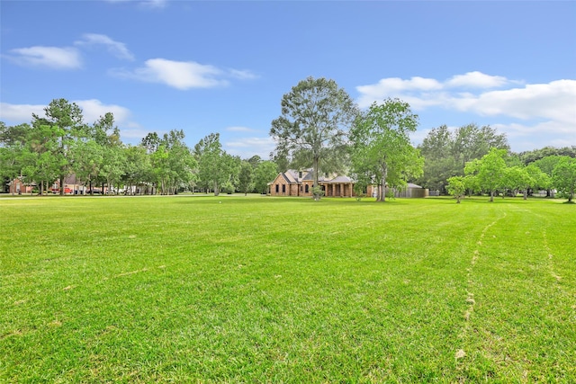 15908 Mcnorton, Splendora, TX 77372 - view of grassy yard