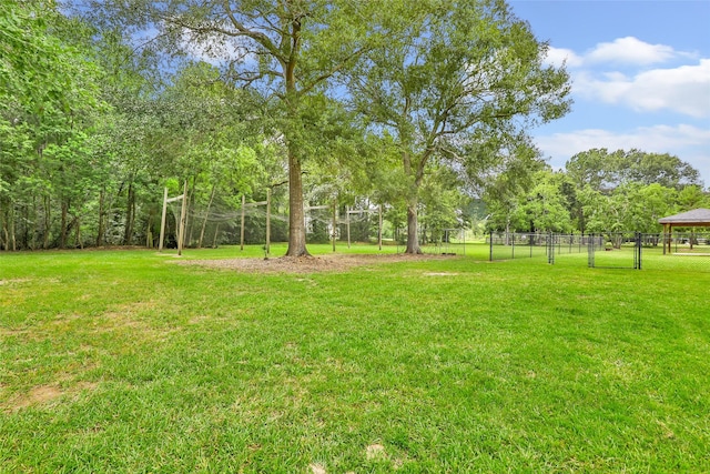 15908 Mcnorton, Splendora, TX 77372 - view of yard