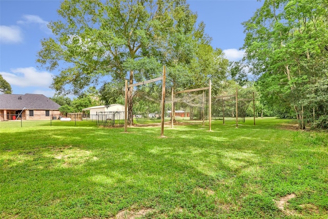15908 Mcnorton, Splendora, TX 77372 - view of yard