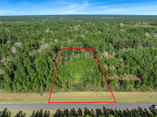 15762 Wood Grove Way, Willis, TX 77378