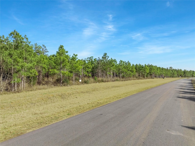 15762 Wood Grove Way, Willis, TX 77378