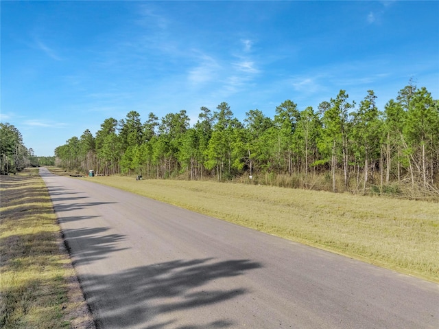 15762 Wood Grove Way, Willis, TX 77378