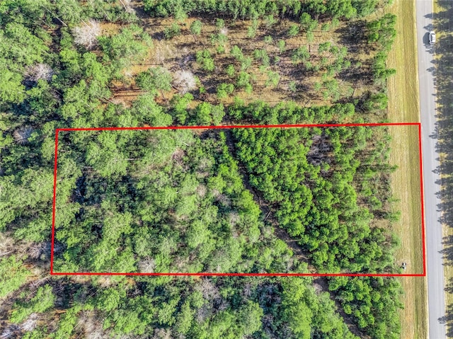 15762 Wood Grove Way, Willis, TX 77378