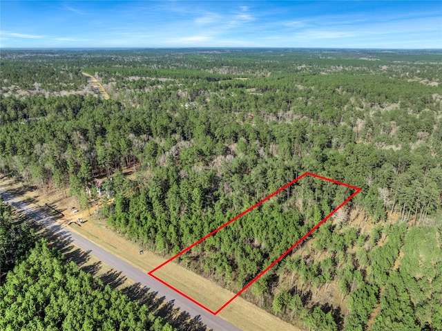 15762 Wood Grove Way, Willis, TX 77378