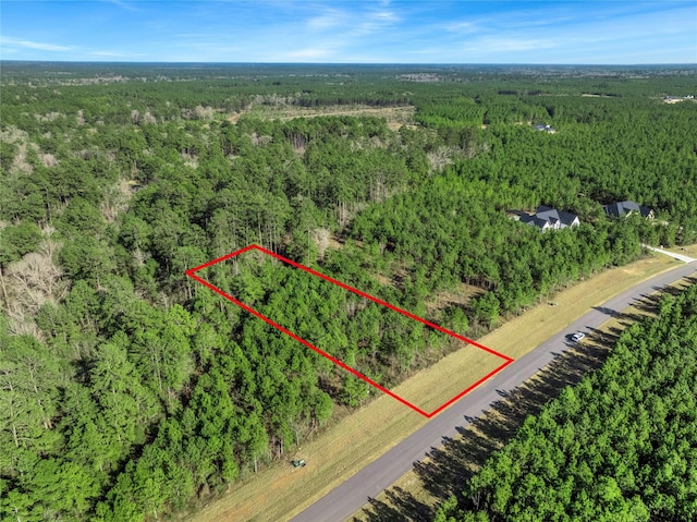 15762 Wood Grove Way, Willis, TX 77378