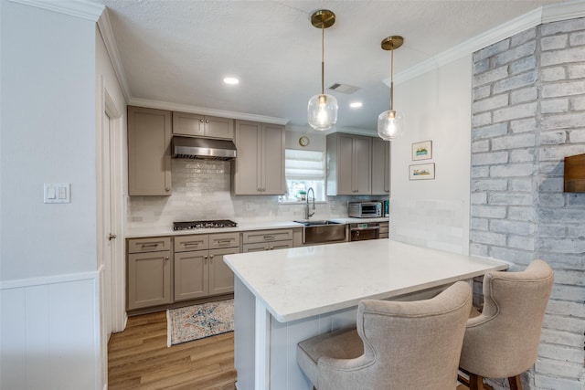 2827 Fontana Dr, Houston, TX 77043 - kitchen featuring under cabinet range hood, stainless steel appliances, light wood finished floors, gray cabinets, and crown molding