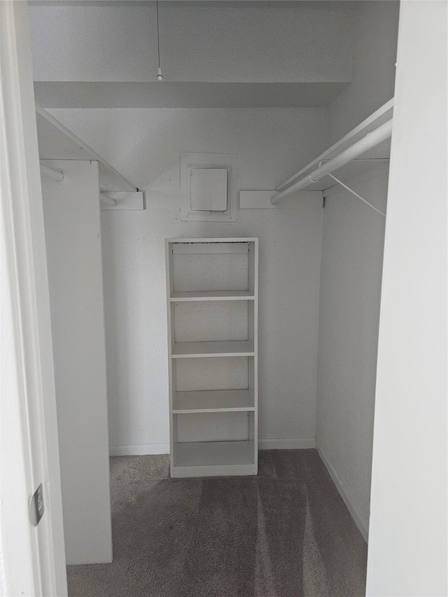 9201 Clarewood Dr Unit 204, Houston, TX 77036 - walk in closet with carpet floors