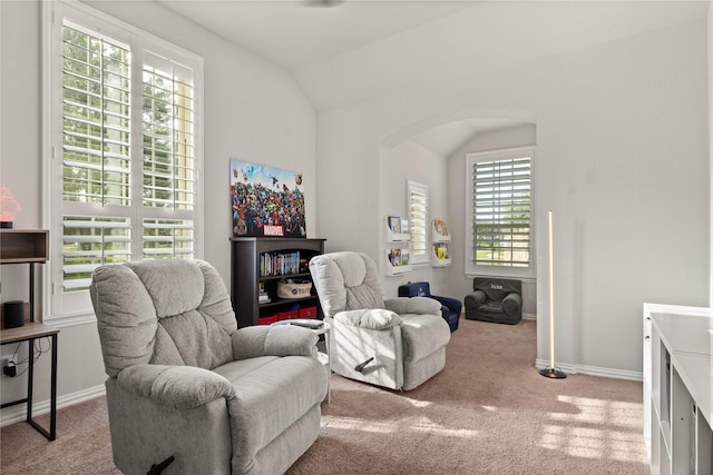 8903 Purdy Crescent Trl, Richmond, TX 77406 - sitting room featuring arched walkways, carpet floors, and vaulted ceiling