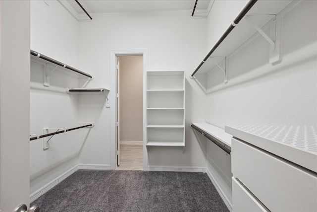 13223 Parkway Spring Dr, Houston, TX 77077 - spacious closet featuring carpet flooring