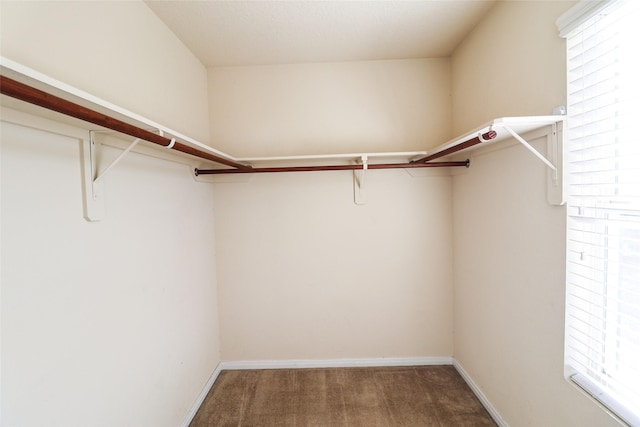 3622 Zephyr Glen Way, Houston, TX 77084 - walk in closet featuring carpet