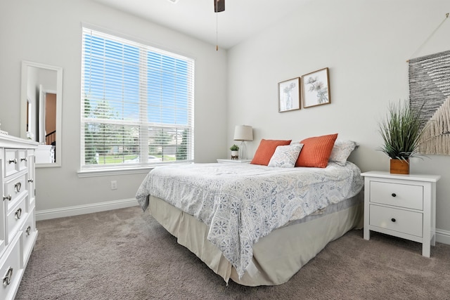 15415 Wildpoint Dr, Cypress, TX 77429 - bedroom featuring multiple windows, carpet, and a ceiling fan