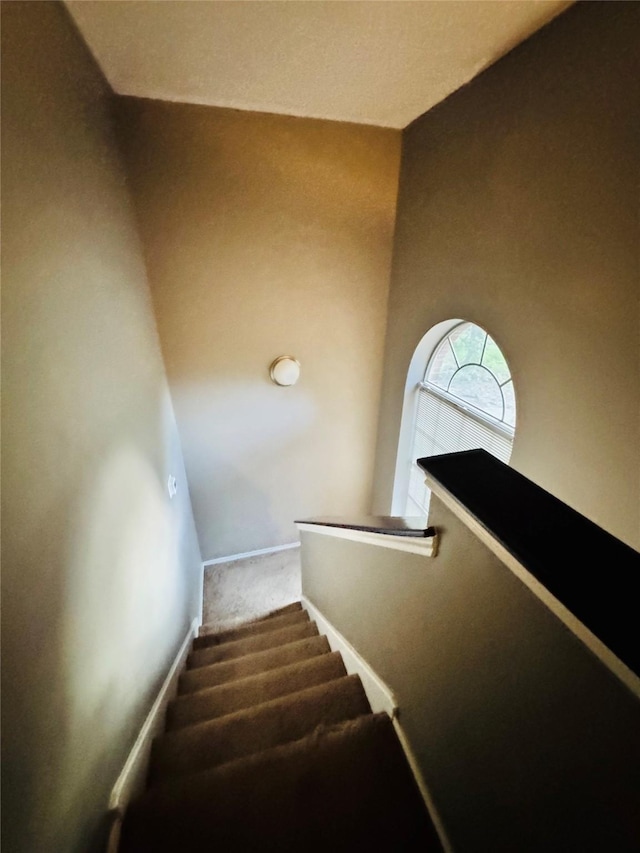 2702 Dovewood Ln, Spring, TX 77373 - staircase featuring carpet flooring and baseboards