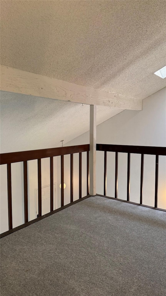 12922 Wirevine Ln, Houston, TX 77072 - below grade area with carpet floors and a textured ceiling