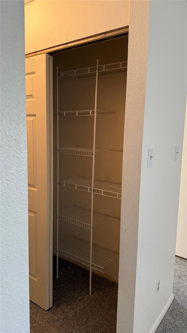 12922 Wirevine Ln, Houston, TX 77072 - view of closet