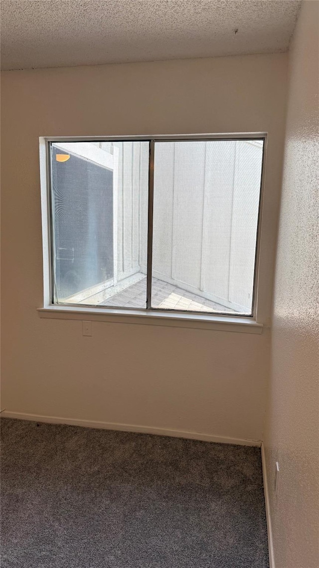 12922 Wirevine Ln, Houston, TX 77072 - carpeted empty room with plenty of natural light and a textured ceiling