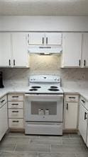 12922 Wirevine Ln, Houston, TX 77072 - kitchen featuring electric stove, light countertops, and under cabinet range hood