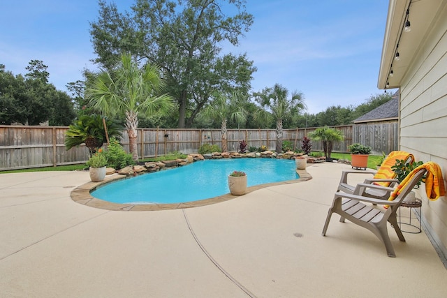 12103 Via San Rocco Ct, Cypress, TX 77429 - view of pool with a patio area and a fenced backyard