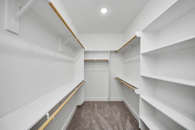 4415 Coke St Unit B, Houston, TX 77020 - spacious closet featuring dark colored carpet