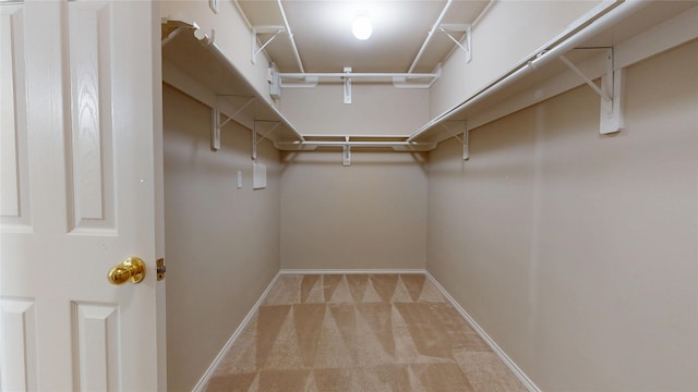 18118 Castle Rain Dr, Humble, TX 77346 - spacious closet with carpet floors