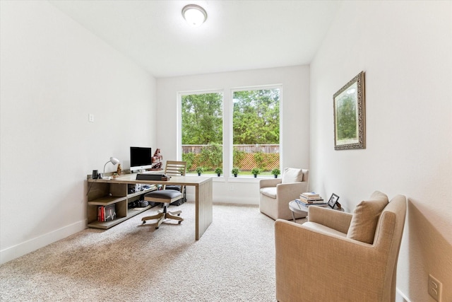 16630 Polletts Cove Ct, Humble, TX 77346 - carpeted office space with baseboards